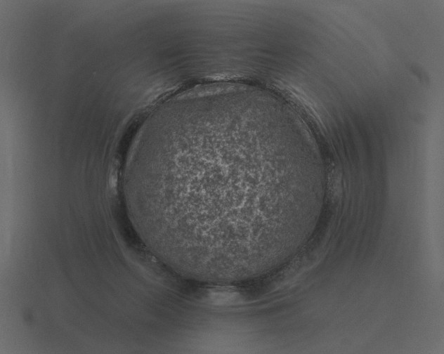 X0000116610214200912241739