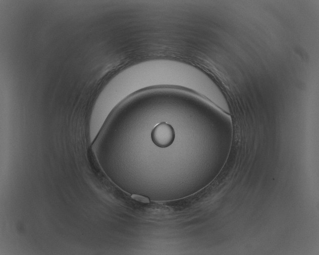 X0000116610215200912241739