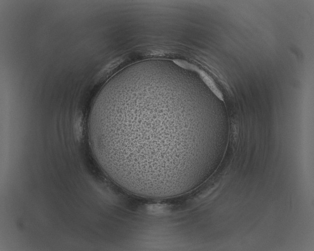 X0000116610216200912241739