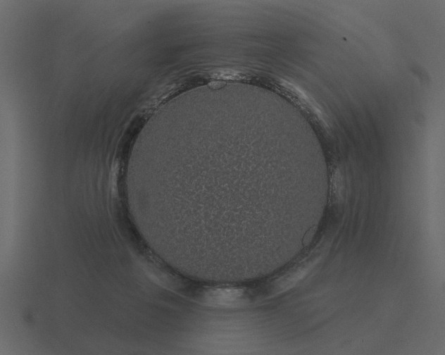 X0000116610217200912241739