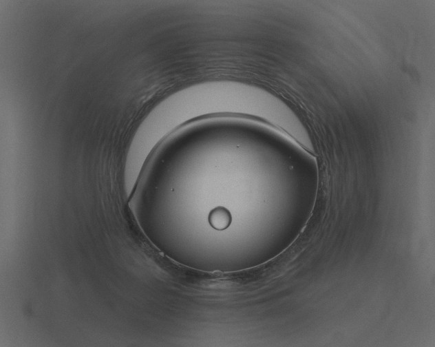 X0000116610219200912241739