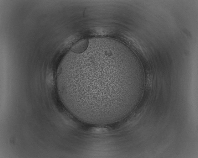 X0000116610220200912241739