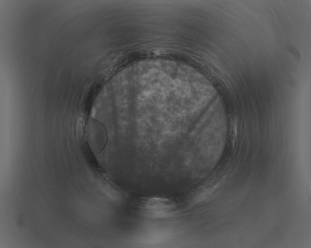 X0000116610222200912241739