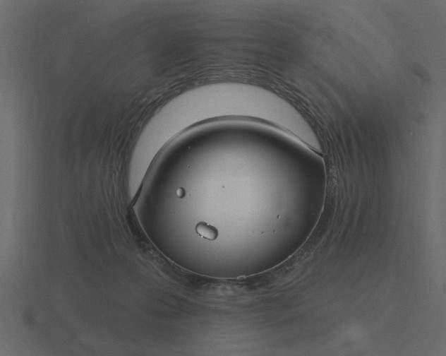 X0000116610223200912241739