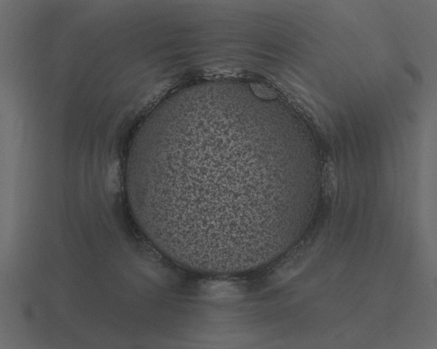 X0000116610224200912241739