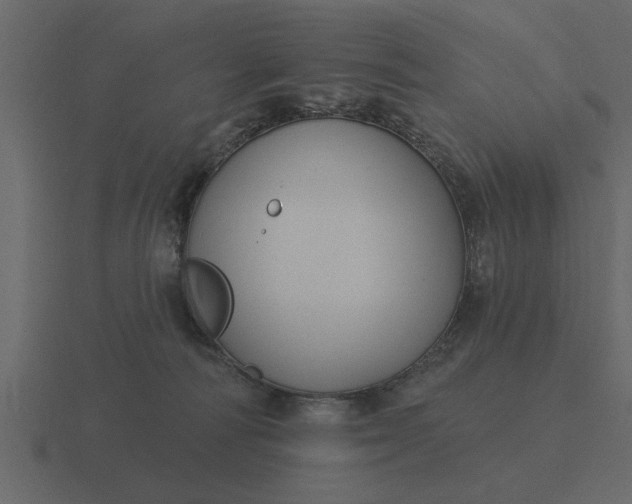 X0000116610226200912241739