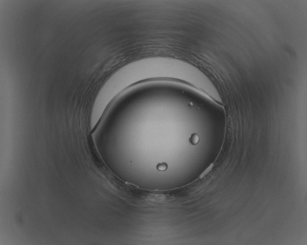 X0000116610227200912241739