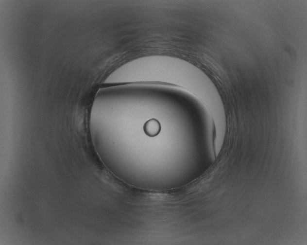 X0000116610233200912241739