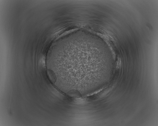 X0000116610238200912241739