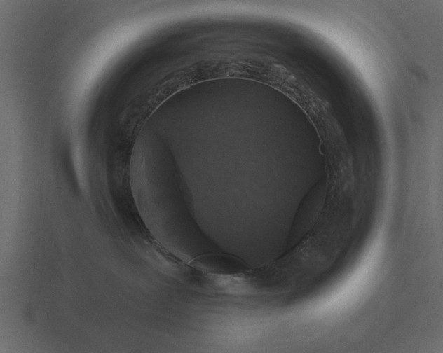 X0000116610239200912241739