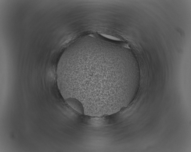 X0000116610240200912241739