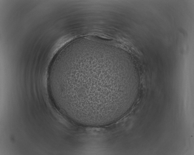 X0000116610242200912241739