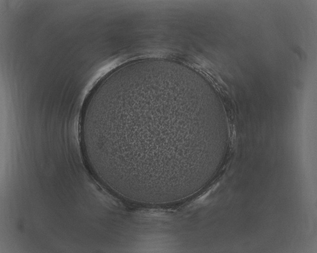 X0000116610244200912241739