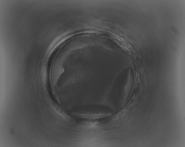 X0000116610247200912241739