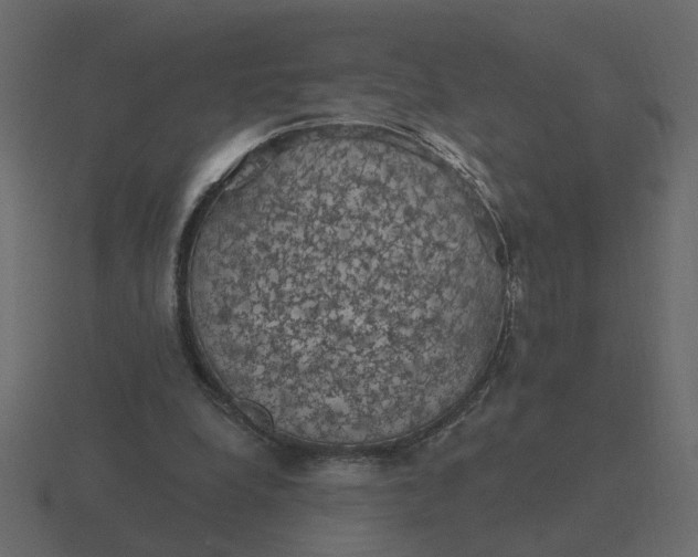 X0000116610248200912241739