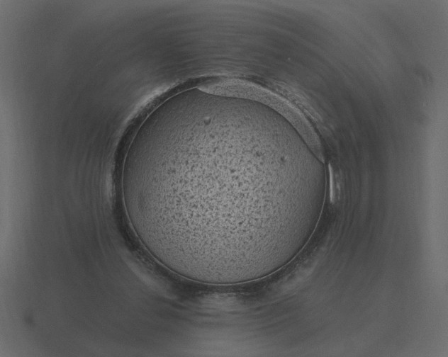 X0000116610252200912241739