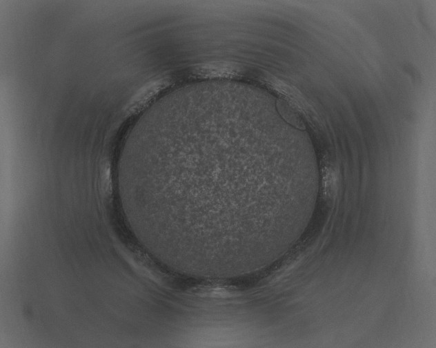 X0000116610254200912241739