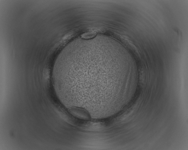 X0000116610260200912241739