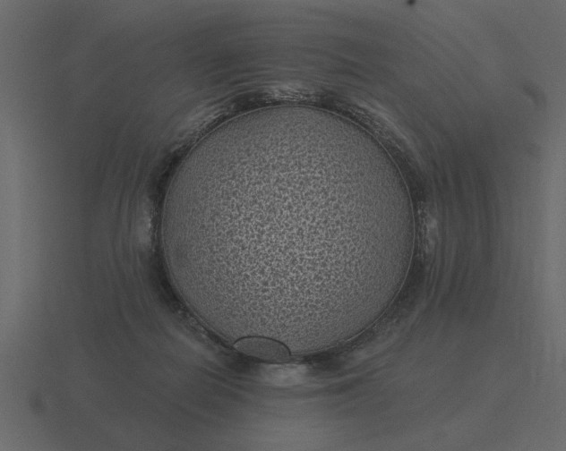 X0000116610266200912241739