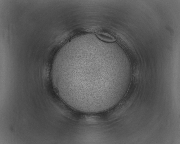 X0000116610268200912241739