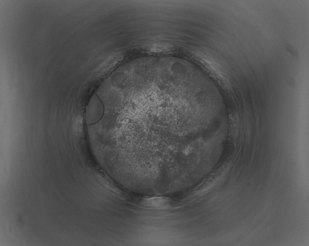 X0000116610269200912241739