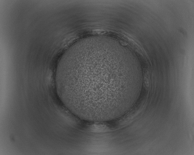 X0000116610270200912241739