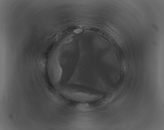 X0000116610271200912241739