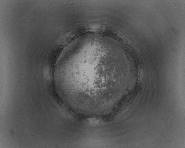 X0000116610272200912241739