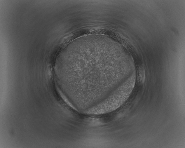 X0000116610276200912241739