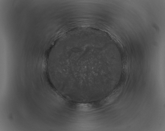 X0000116610277200912241739