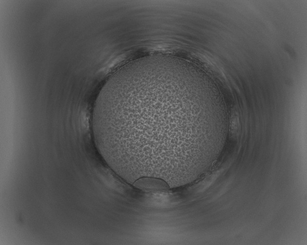 X0000116610282200912241739