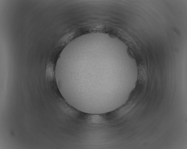 X0000116610287200912241739