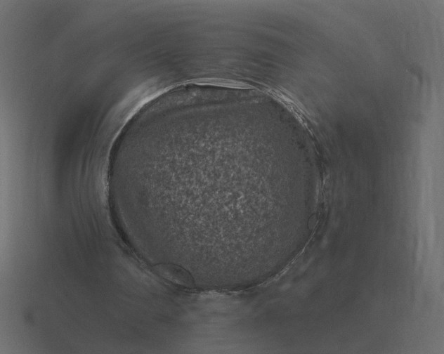 X0000116610290200912241739