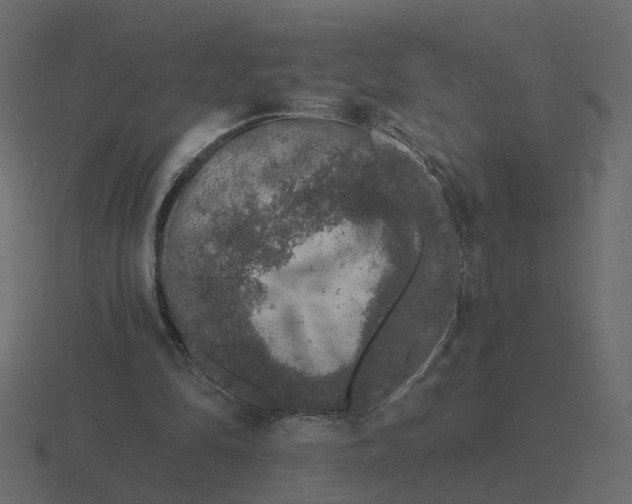 X0000116610294200912241738