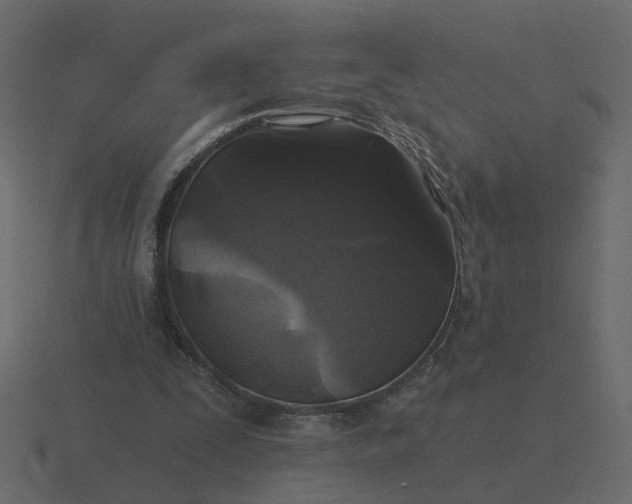 X0000116610295200912241738