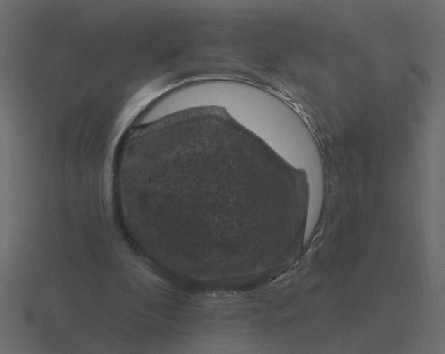 X0000116610296200912241738