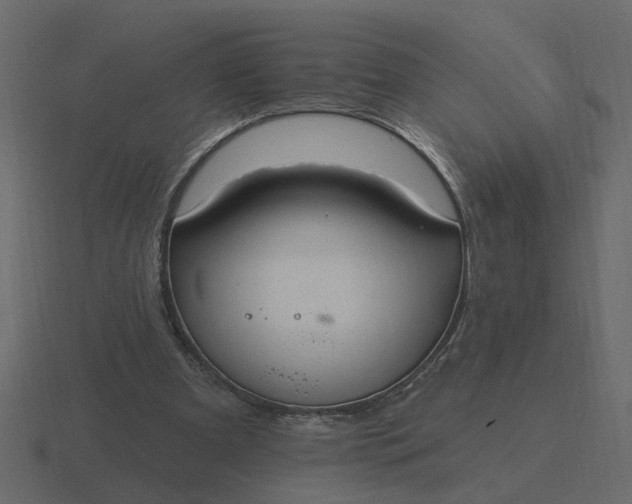 X0000116610297200912241738