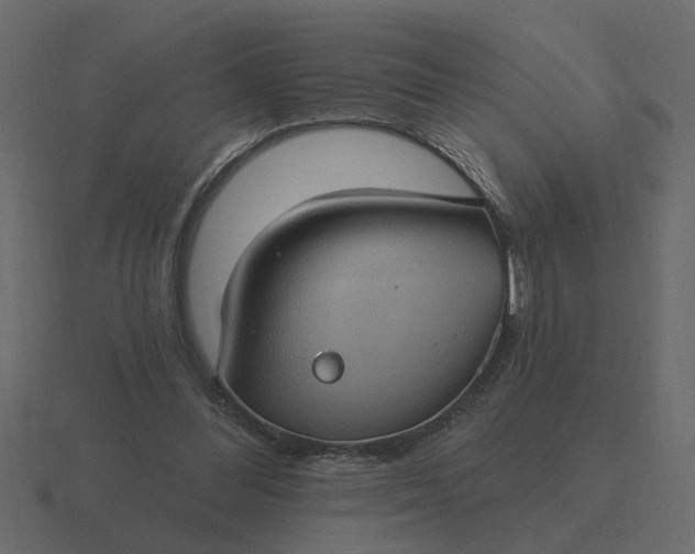 X0000116610300200912241738