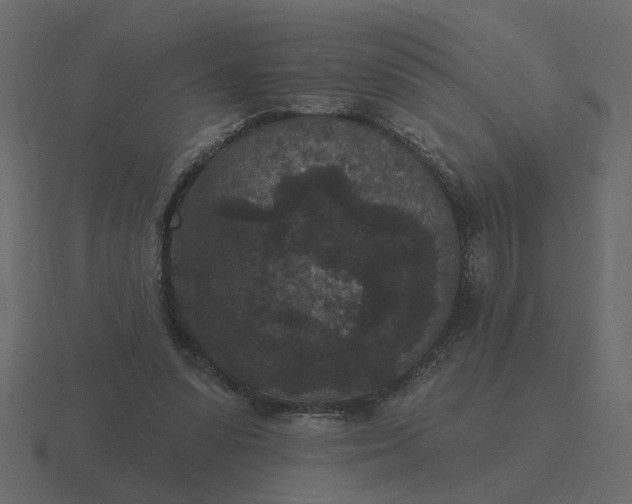 X0000116610303200912241738