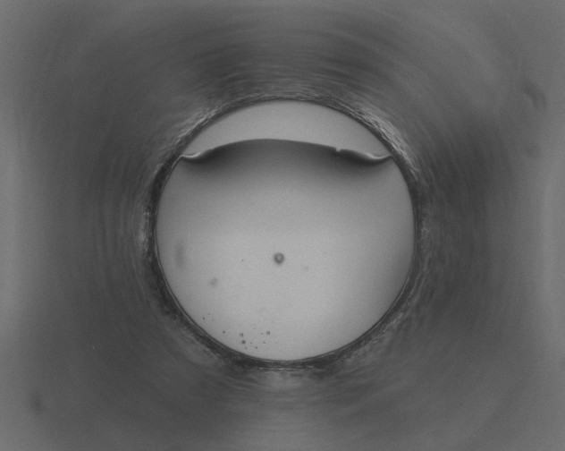 X0000116610305200912241738