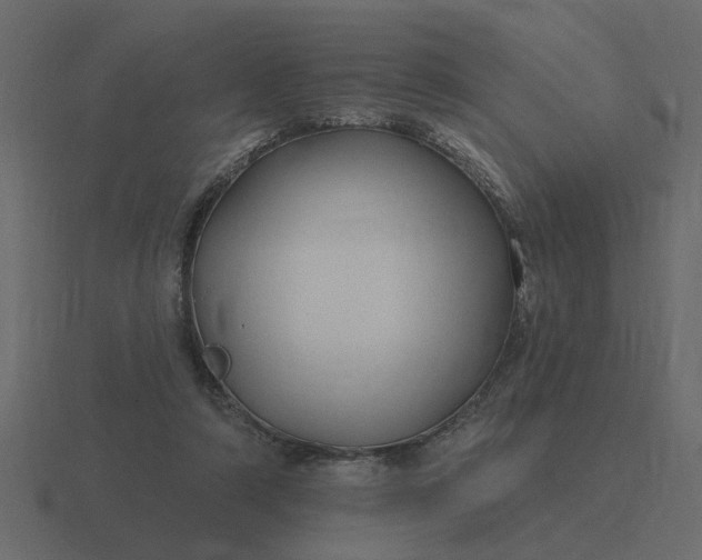 X0000116610306200912241738