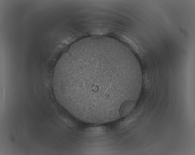 X0000116610307200912241738