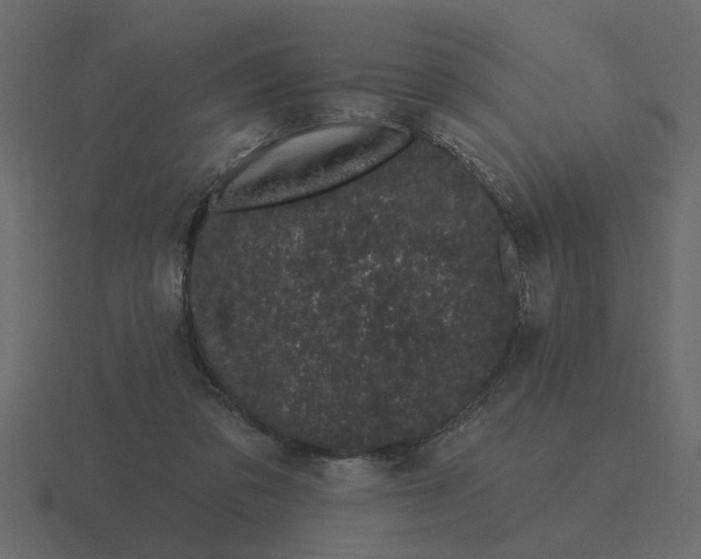 X0000116610309200912241738