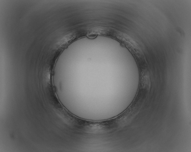 X0000116610310200912241738