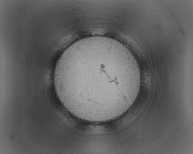 X0000116610311200912241738