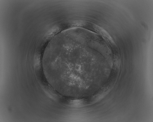 X0000116610312200912241738