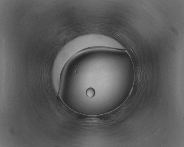 X0000116610316200912241738