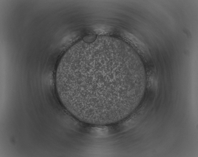 X0000116610317200912241738