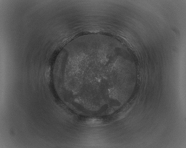 X0000116610319200912241738