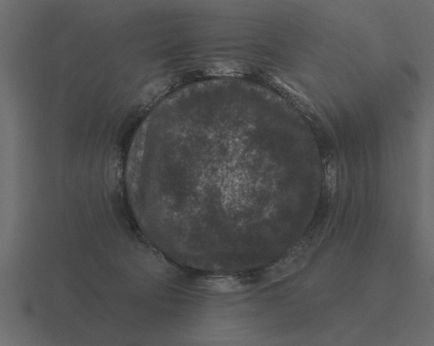 X0000116610322200912241738